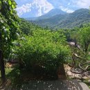 모바일로 떠나는 특별한 자유여행과 사진 (1) | 다낭자유여행패키지 대신 떠나는 우리 가족만의 박마빌리지 프라이빗 단독 투어 후기