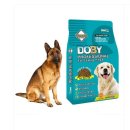 인터펫코리아 이미지