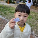 코리아 탑 태권도장 이미지