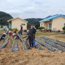 공동농장 이미지