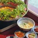 화산중앙로 | 대전은행동맛집 화산샤브 대전은행점｜중앙로역 근처 미나리 샤브샤브 후기