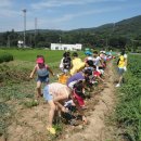 김순영 농장 이미지