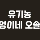 부엉이푸드 이미지