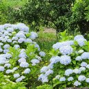 선원2길 이미지