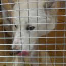 은천동-16 이미지