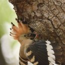 황성공원 이미지