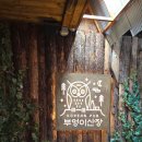 산장노래방 | [신촌] 신촌 술집하면 내가 진심으로 추천하는 부엉이산장 신촌점 후기