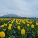 보물농장 이미지