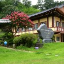 꽃피는 풍경 이미지