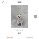 동그리아 이미지