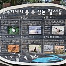 영종 백련산 및 세계평화의 숲길 산책 이미지