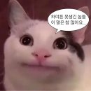 행복헤어 | W27. 순천 파티움하우스 행복하고 완벽했던 홀패키지 본식 후기(헤어 메이크업 만족도만 개인적으로...