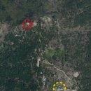 차밭매점 이미지