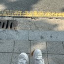 중문계란빵 이미지