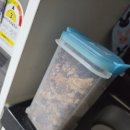 해냄어린이집 | 251109 블로그챌린지 10주차