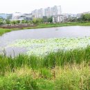 이문안호수공원 이미지