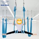 블루웨일플라잉센터