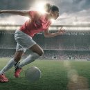 단하나피티 이미지