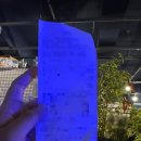 플스 & 위 ZONE | 전포 색다른 데이트! 연중무휴 테마카페 “ 젊은이의 양지 전포점”