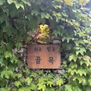 네이버(주) | P인 내가 친히 몇주전에 네이버예약하고 온 제주 탑동골목 후기