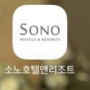 [경북 청송] 솔샘온천, 소노벨 청송, 꽃양귀비 밭, 청송백자, 주왕산 피톤치드 산림욕, 수달래 식당