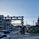 황지산농장 | 태백 혼자 기차여행 1박 2일 - 황지연못, 시시한책방