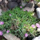 남해우리집 이미지