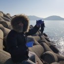 욜로게스트하우스