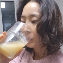 효식품 | [건강식품리뷰] 속 편한 하루의 시작, 닥터효 유기농 양배추즙 직접 마셔본 솔직 후기