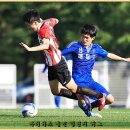 올인 이미지
