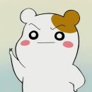 헤어쌤 이미지