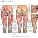 서울대왕초등학교 이미지