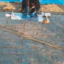 공룡 발자국화석지 이미지