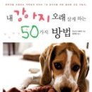 예쁜강아지 이미지