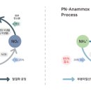 (주)목스