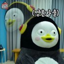 [한섬] 26SS 랑방 / 마인 쇼핑 실패 후기