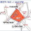 강원 ＜춘천시"텃밭갖춘 단독주택"＞- 서면 "북한강인근 마을내"(1229-204) 이미지