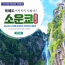 고고투어앤신혼여행 네이버블로그