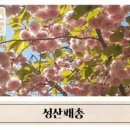 성산패총로 이미지