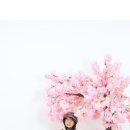 씬셀프스튜디오 이미지