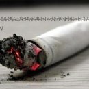 전자담배코리아Dekang - 강서구 녹산동 | 전자담배코리아Dekang