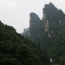 무릉도원 - 익산시 고도5길 17-2 | 무릉도원