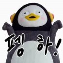 라이언마케팅 - 안산시 단원구 광덕대로 154 | 라이언마케팅
