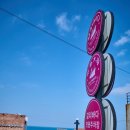 4821 | 제주 갈치조림 왜 유명한지 직접 먹어본 후기