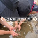 비에이치씨 청학점 | 서울근교 계곡 물놀이 남양주 수락산 청학밸리리조트 청학문화공원