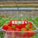 강성인농장 이미지