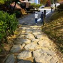 꽃내음 | 포천 전통술 박물관 느린마을 산사원 방문 후기 (Feat. 꽃내음 가득한 들국화술 가을맞이 출시)