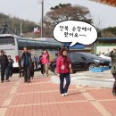 거북이권역 이미지