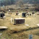 일영농장 이미지