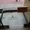 21세기종합동물병원 이미지